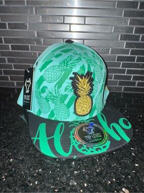 Top Level Snapback Hat with Pineapple Patch - Teal & Black